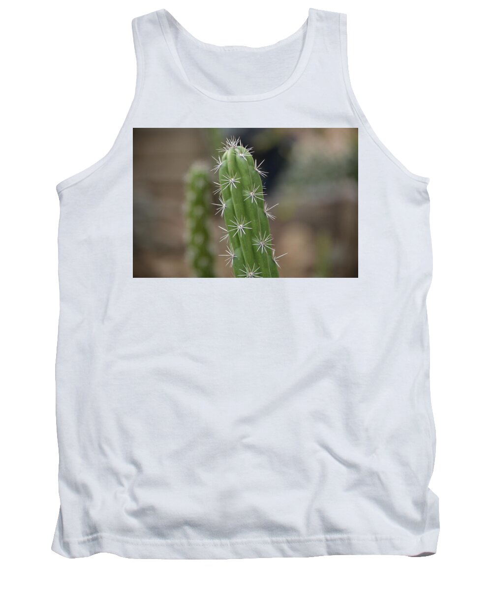 Cactus Tank Top featuring the photograph Stay Sharp by Carolyn Mickulas