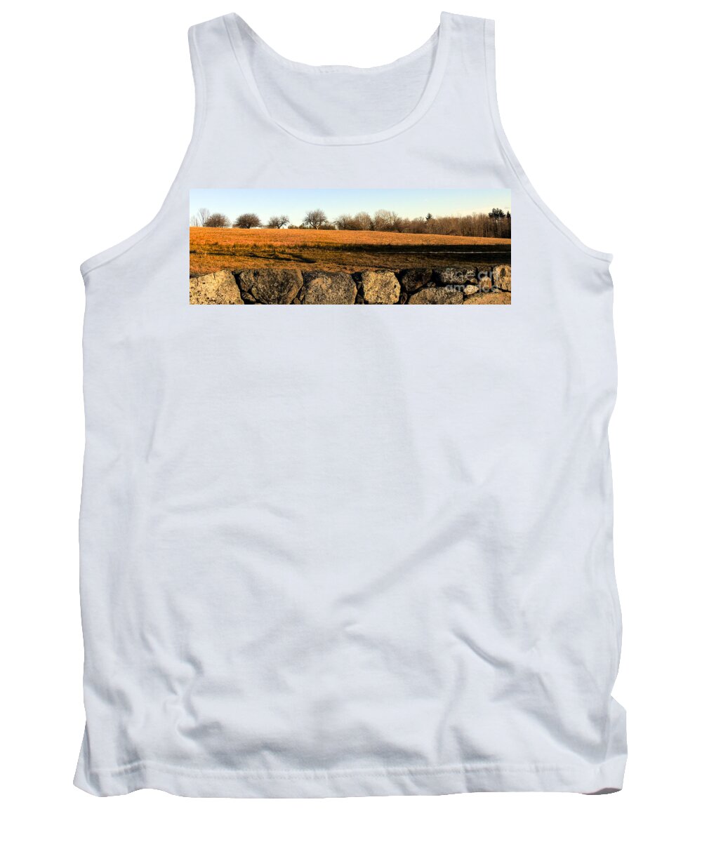 Fences Tank Top featuring the photograph Stone and Wire by Mim White
