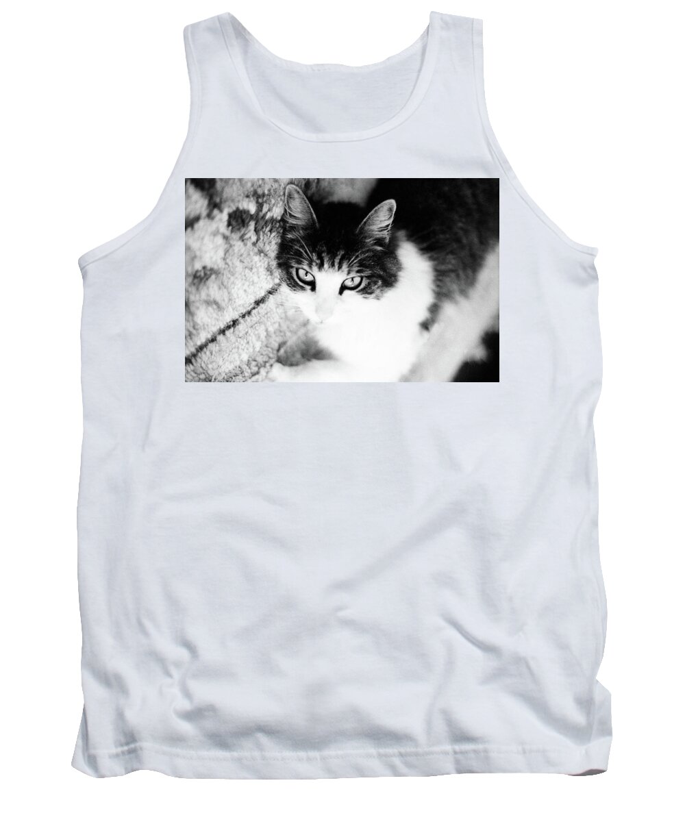 Cat Tank Top featuring the photograph Sultry Feline by Geoff Jewett