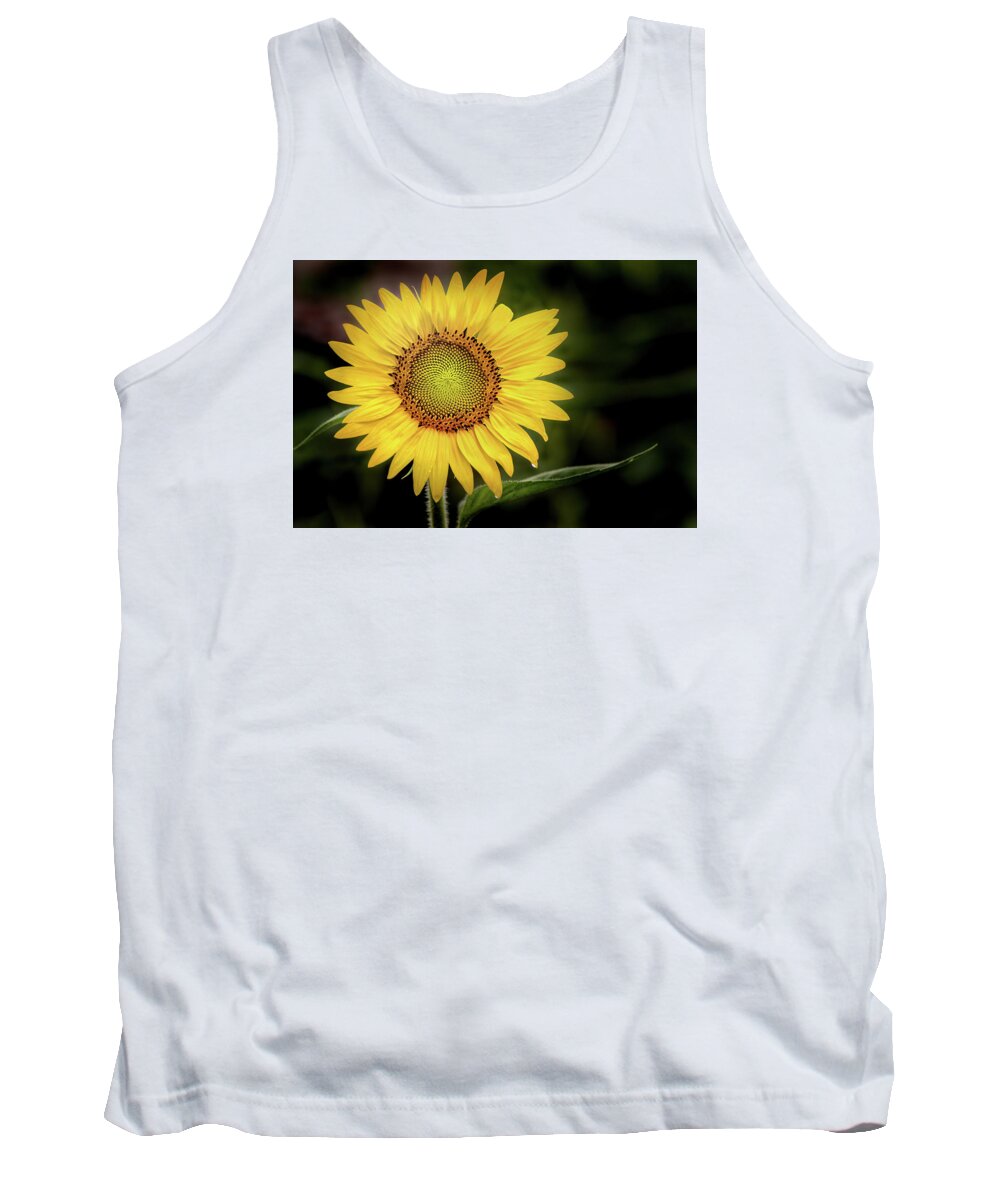 Flower Tank Top featuring the photograph Summer Sunflower by Don Johnson