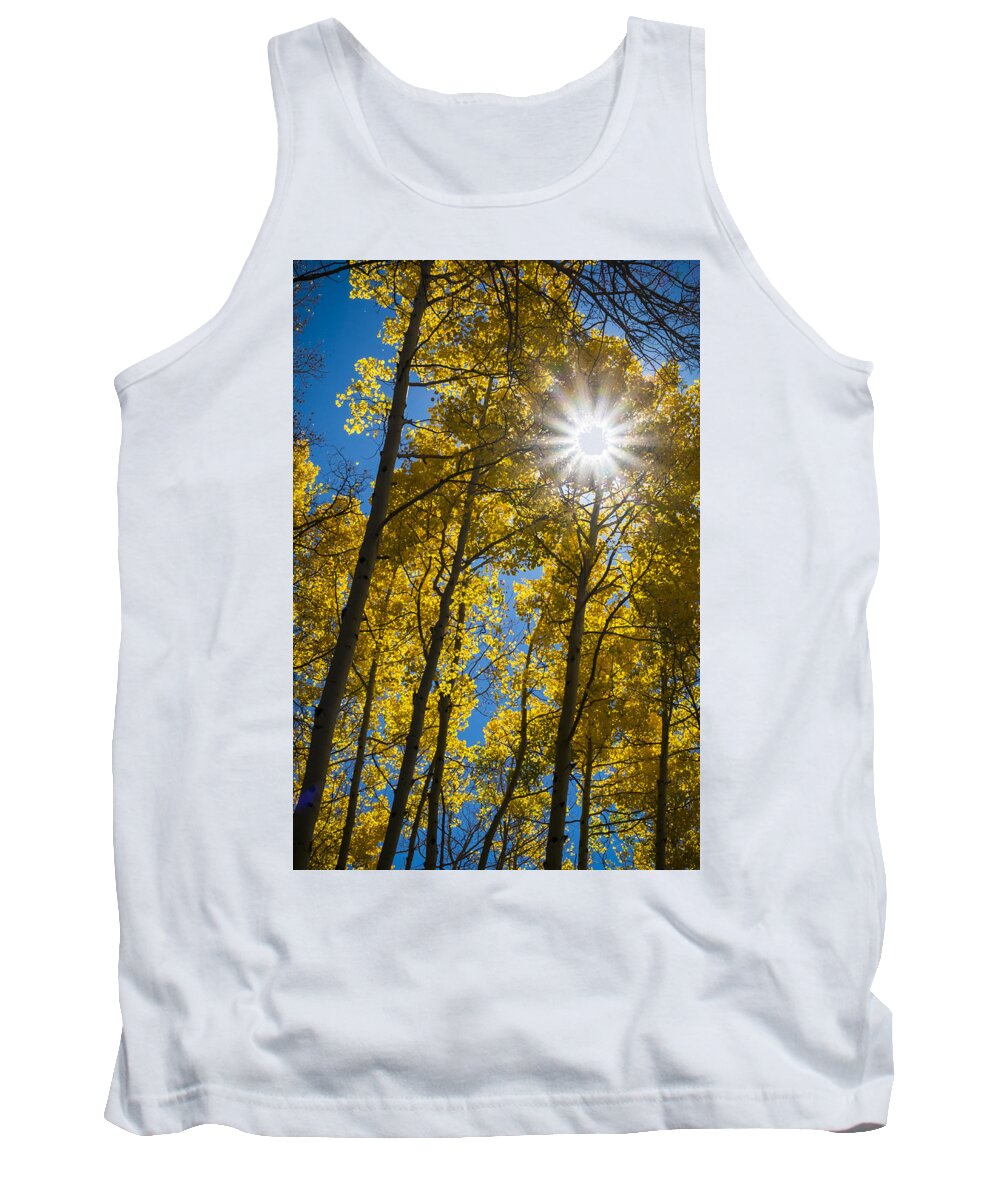 Scenics Tank Top featuring the photograph Sunburst in Golden Aspen by Mary Lee Dereske