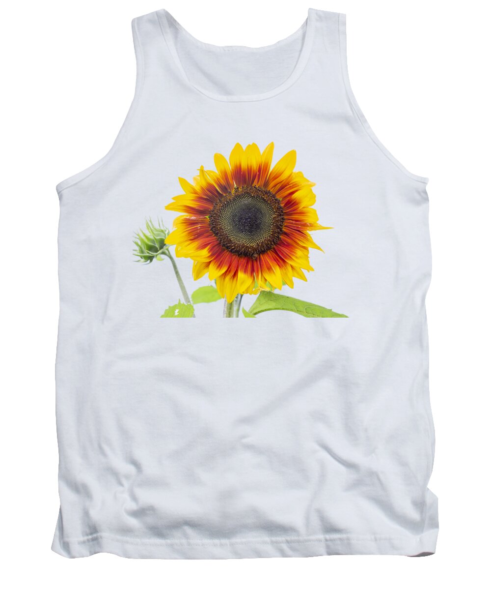 Sunflower Tank Top featuring the photograph Sunflower 2018-1 by Thomas Young