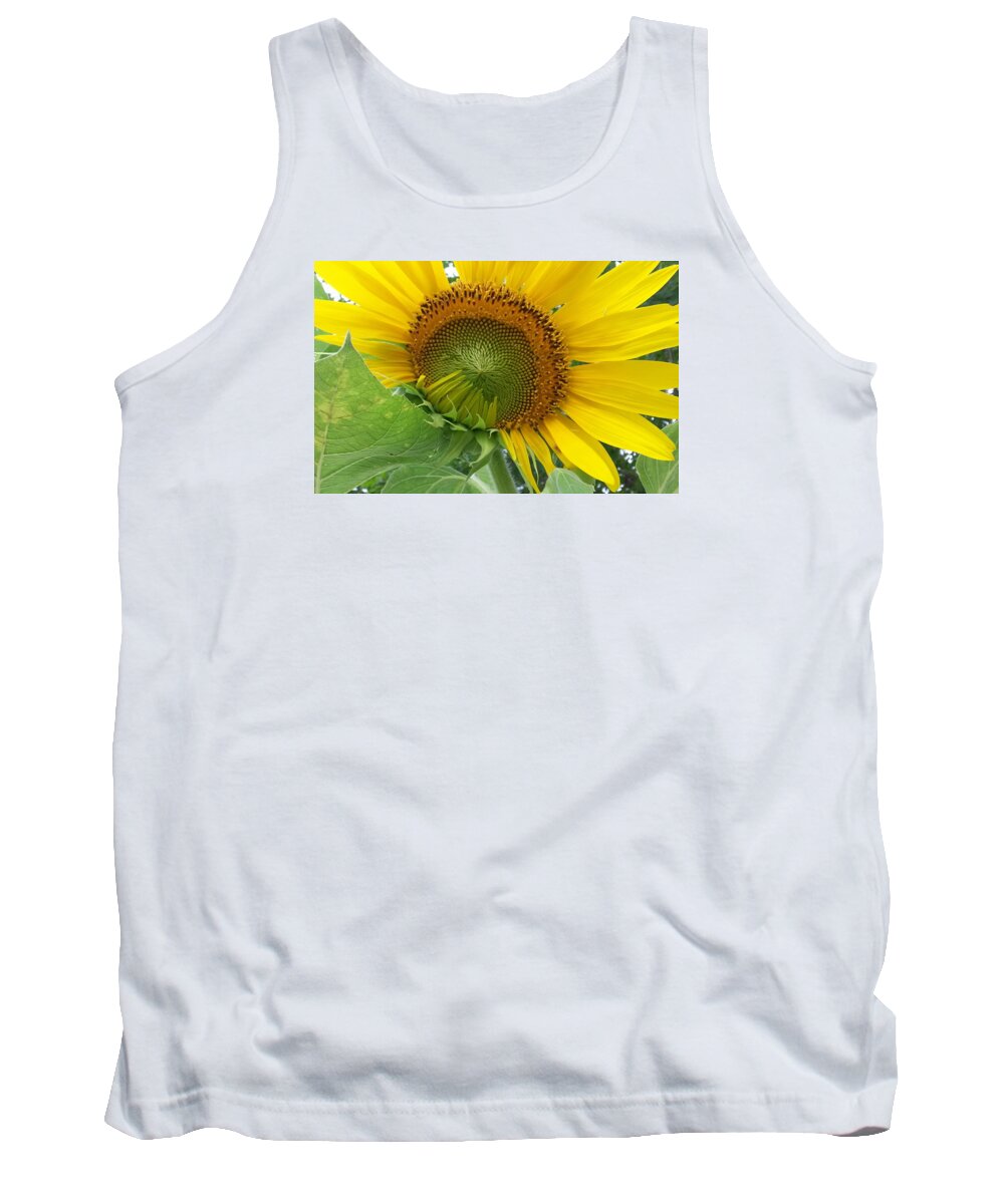 Sunflower Tank Top featuring the photograph Sunflower Opening by Cindy Clements