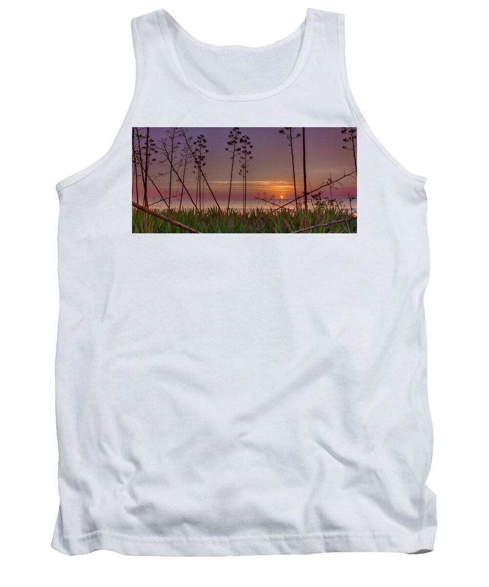 Sunrise Tank Top featuring the photograph Sunrise Palm Blooms by Dillon Kalkhurst