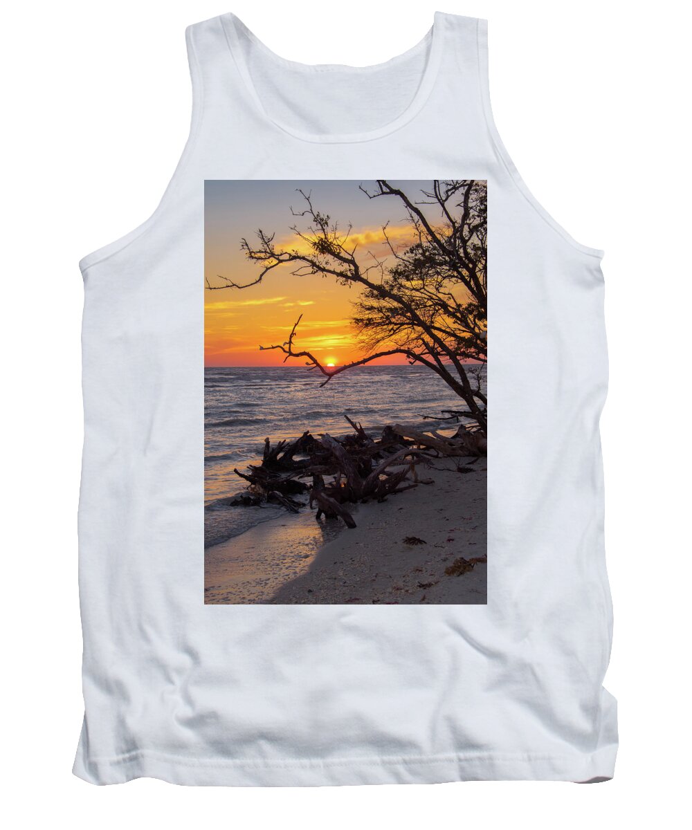 Sunset Tank Top featuring the photograph Sunset Cradled by a Tree on Barefoot Beach Florida by Artful Imagery