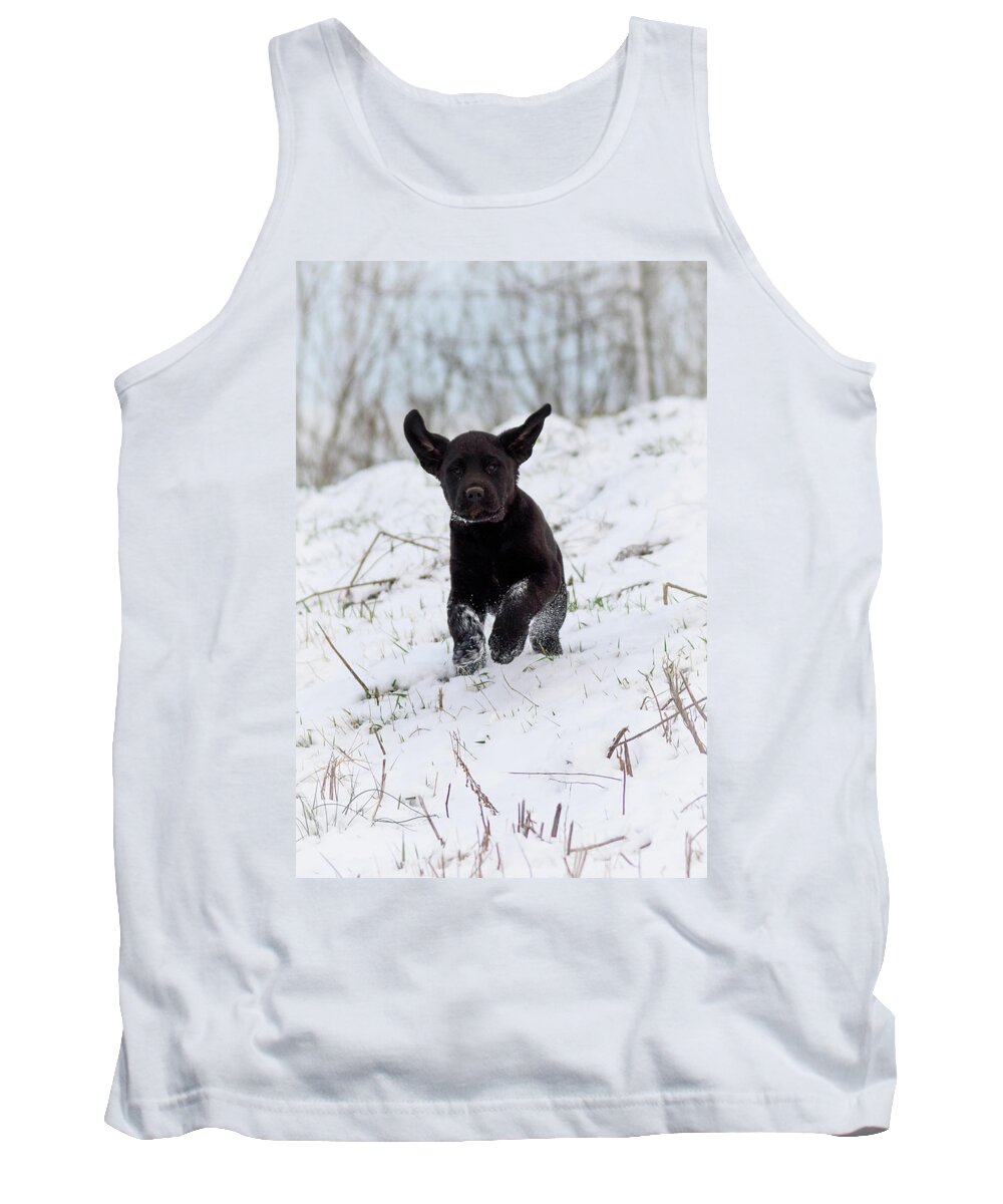 Pup Tank Top featuring the photograph Super Pup by Holden The Moment