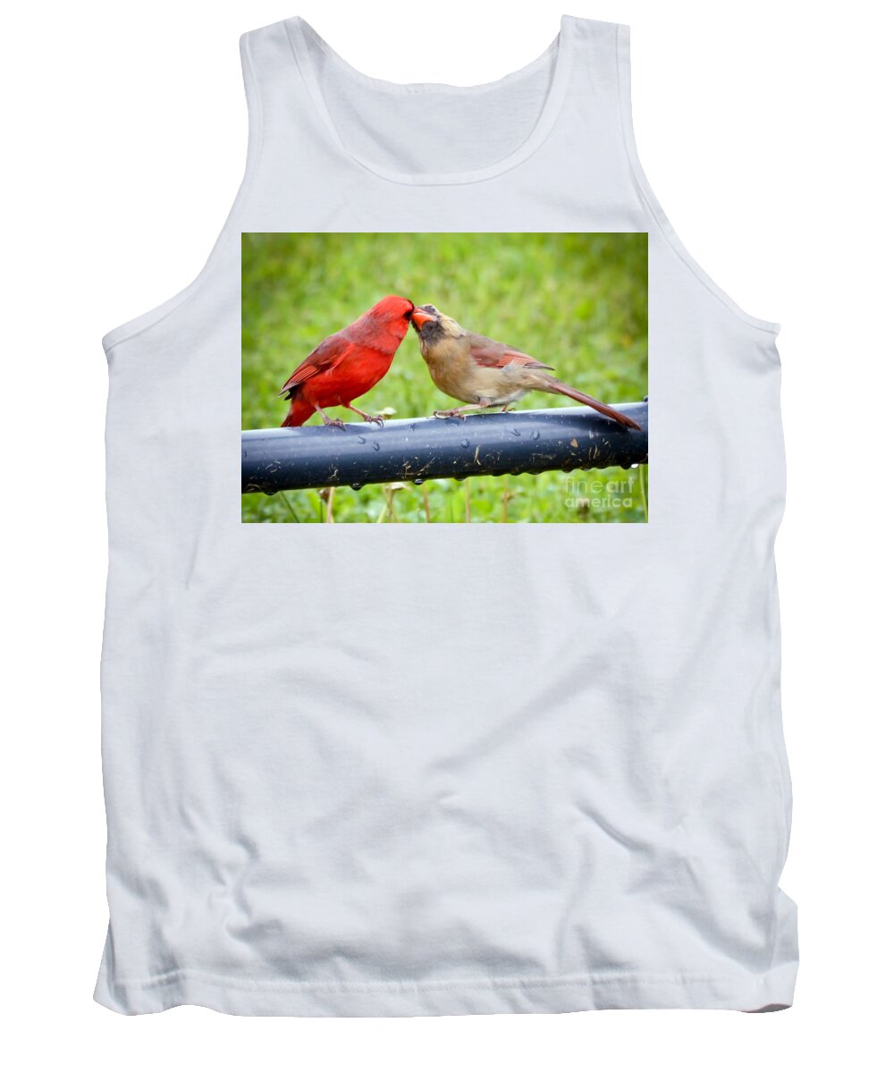Male And Female Cardinal Tank Top featuring the photograph Sweet Cardinal Couple by Kerri Farley
