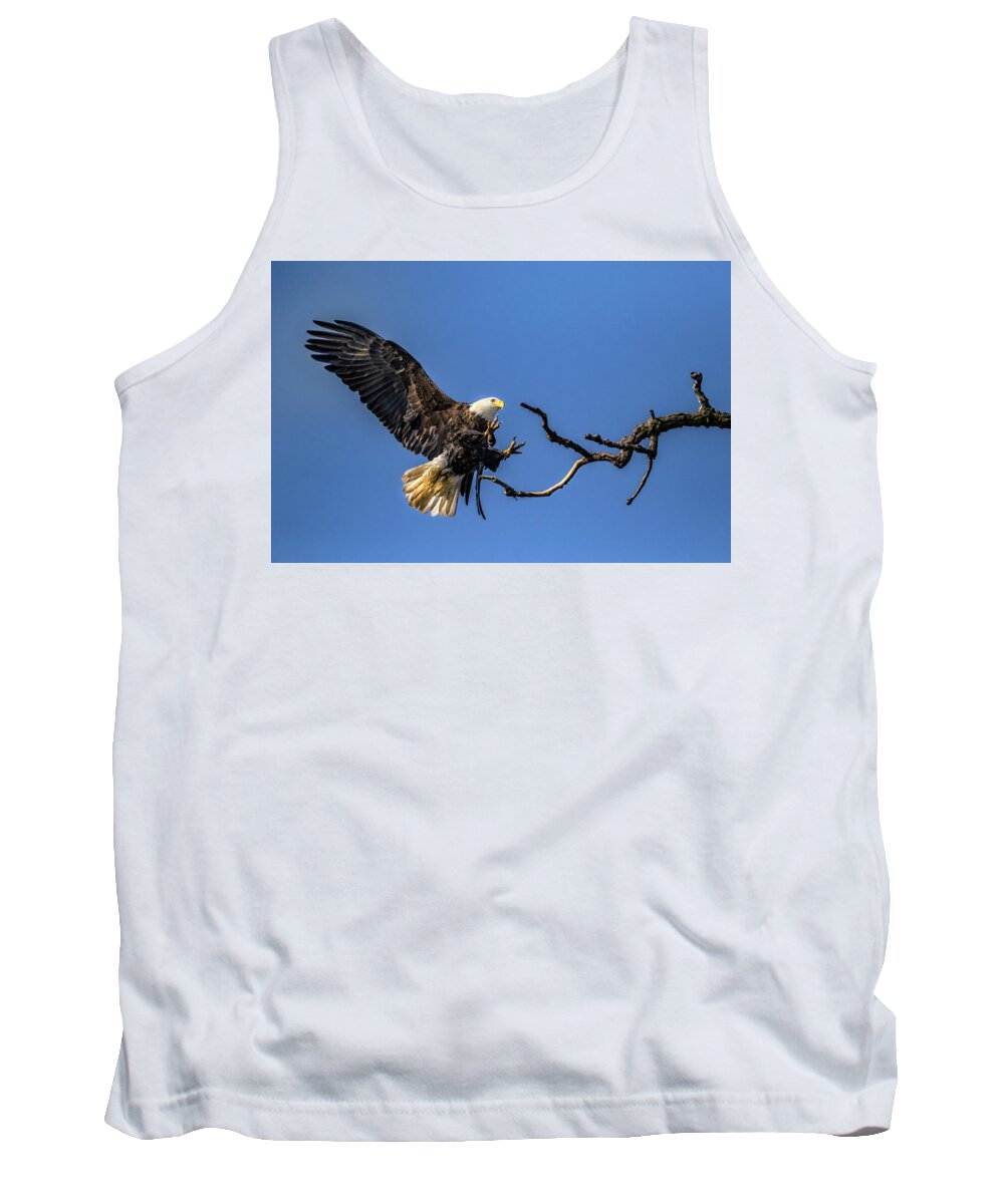 American Bald Eagle Tank Top featuring the photograph The Approach by Ray Congrove
