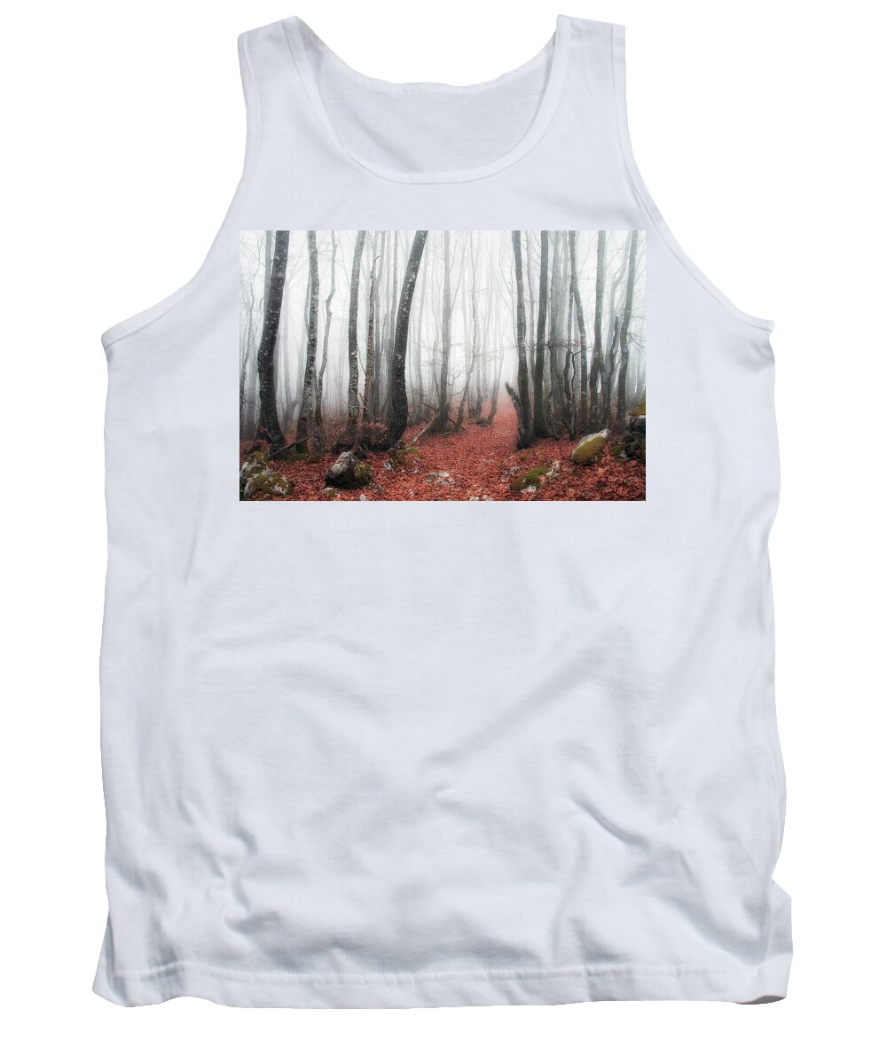 Forest Tank Top featuring the photograph The corridor by Mikel Martinez de Osaba