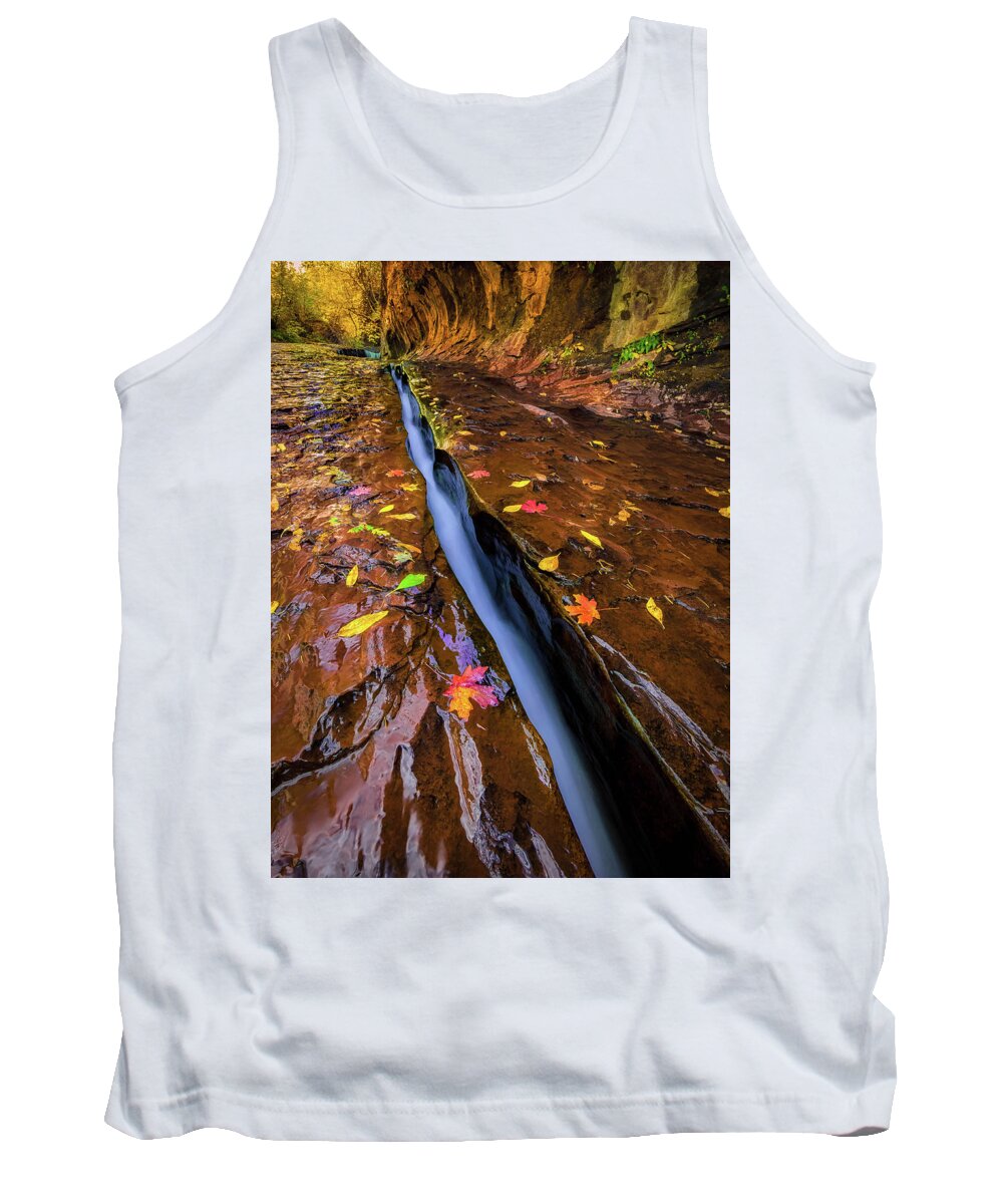 Zion National Park Tank Top featuring the photograph The Crack by Dave Koch