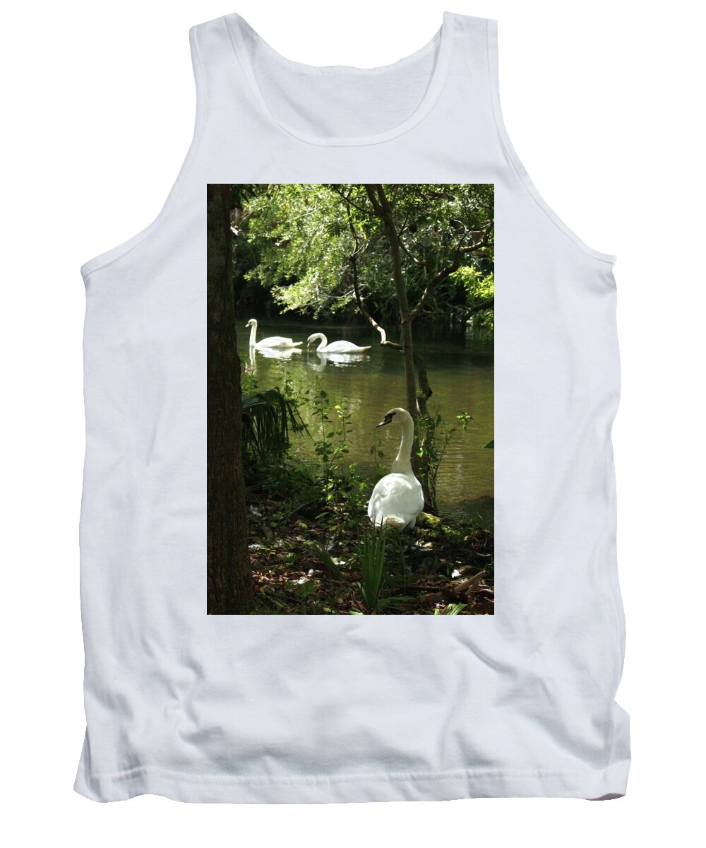 Florida Swans Birds Tank Top featuring the photograph The Guard Swan by Barbara Smith-Baker