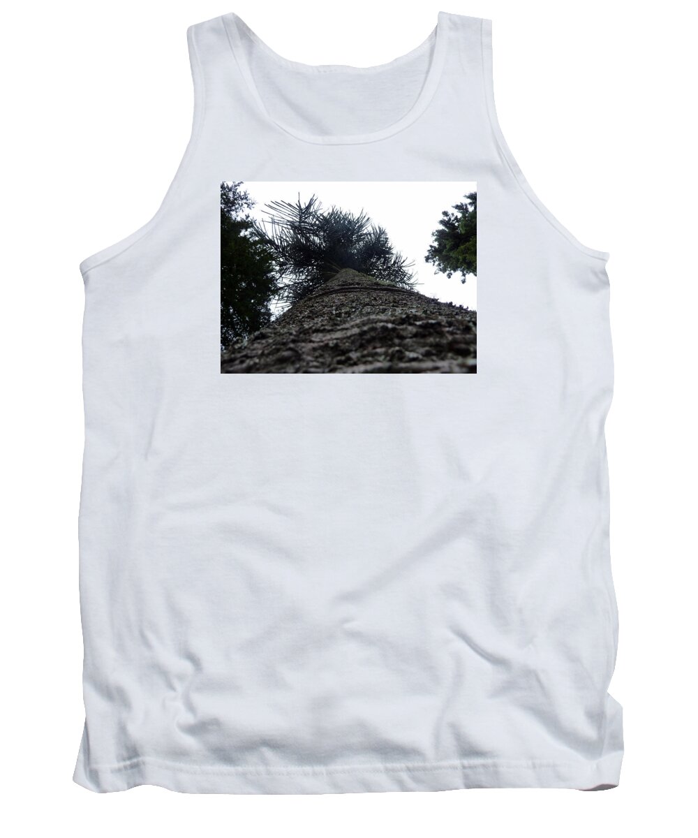 Tree Tank Top featuring the photograph The old tree by Lukasz Ryszka