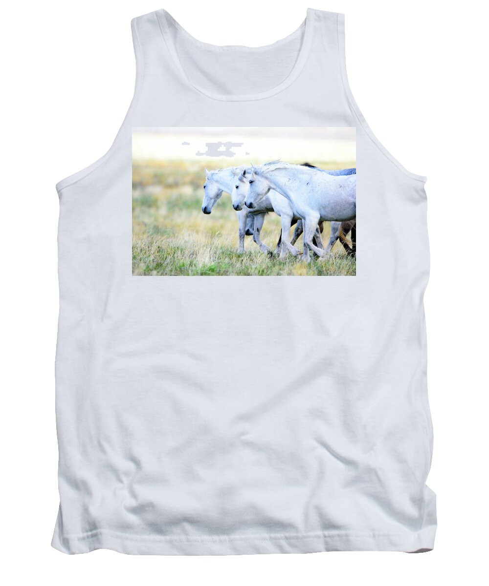 Wild Horses Tank Top featuring the photograph The Three Amigos by Bryan Carter