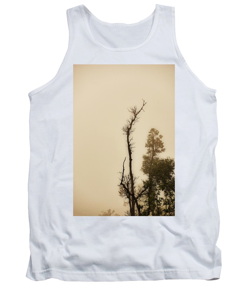India Tank Top featuring the photograph The Trees Against The Mist by Rajiv Chopra