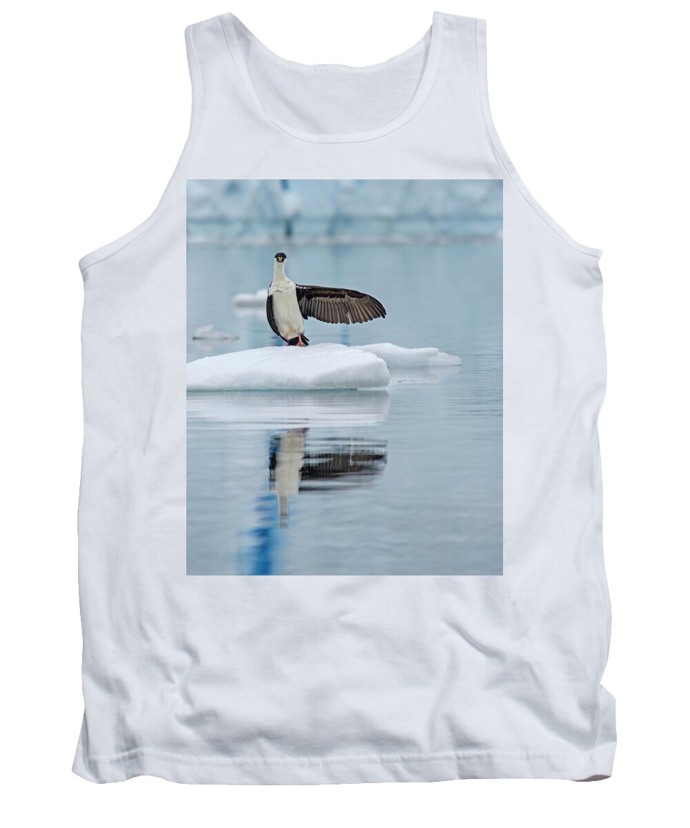 Antarctic Shag Tank Top featuring the photograph This Way by Tony Beck