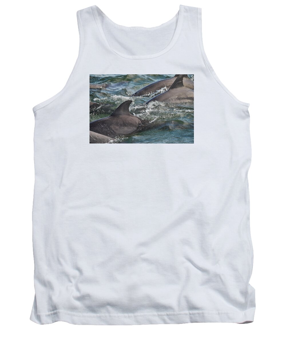 Dolphin Tank Top featuring the photograph Three Peas in a Pod - Color by Wild Fotos