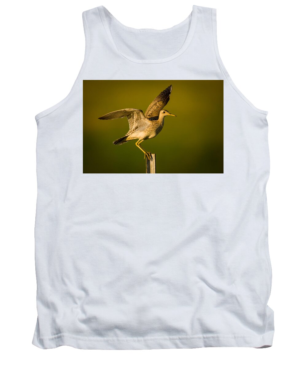 Wildlife Tank Top featuring the photograph Upland Sandpiper on Steel Post by Jeff Phillippi