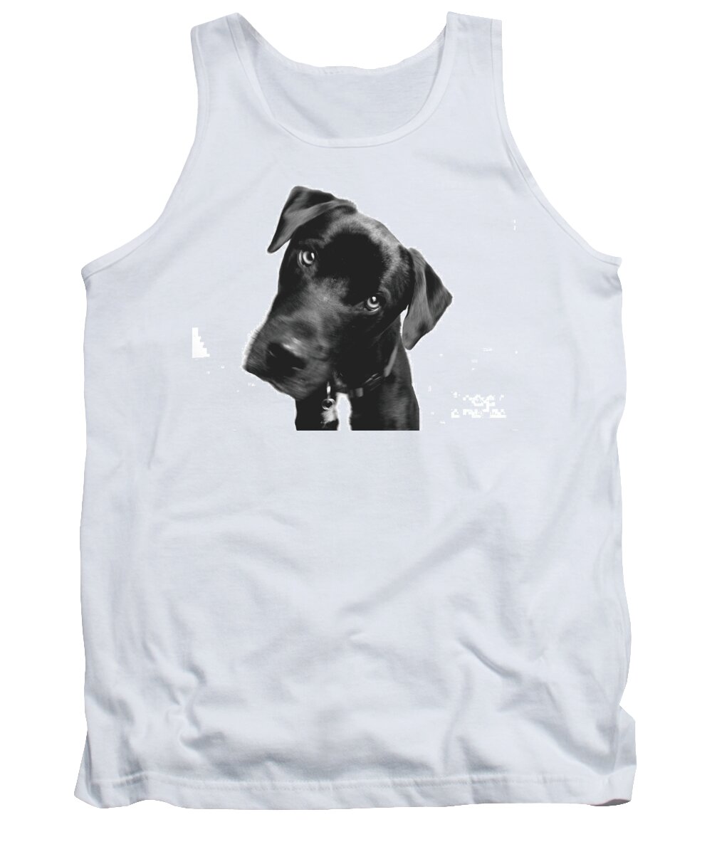 Labrador Tank Top featuring the photograph What by Amanda Barcon