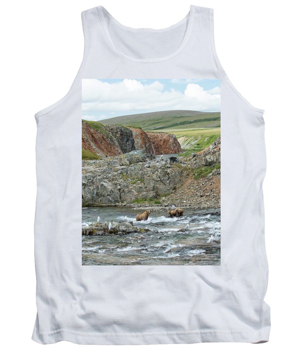 Alaska Tank Top featuring the photograph Where the Bears Are by Cheryl Strahl