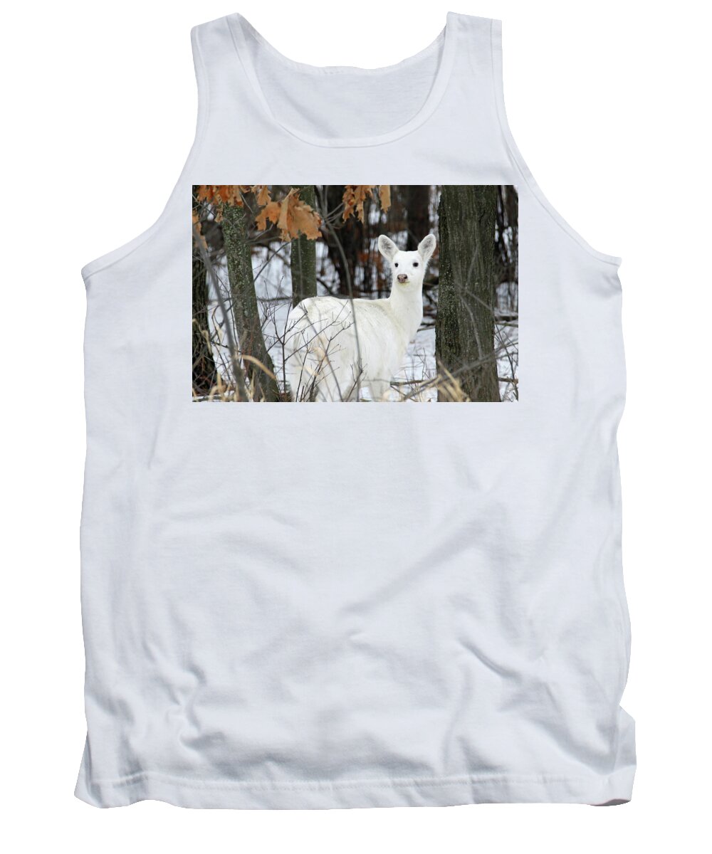 White Tank Top featuring the photograph White Deer Vistor by Brook Burling