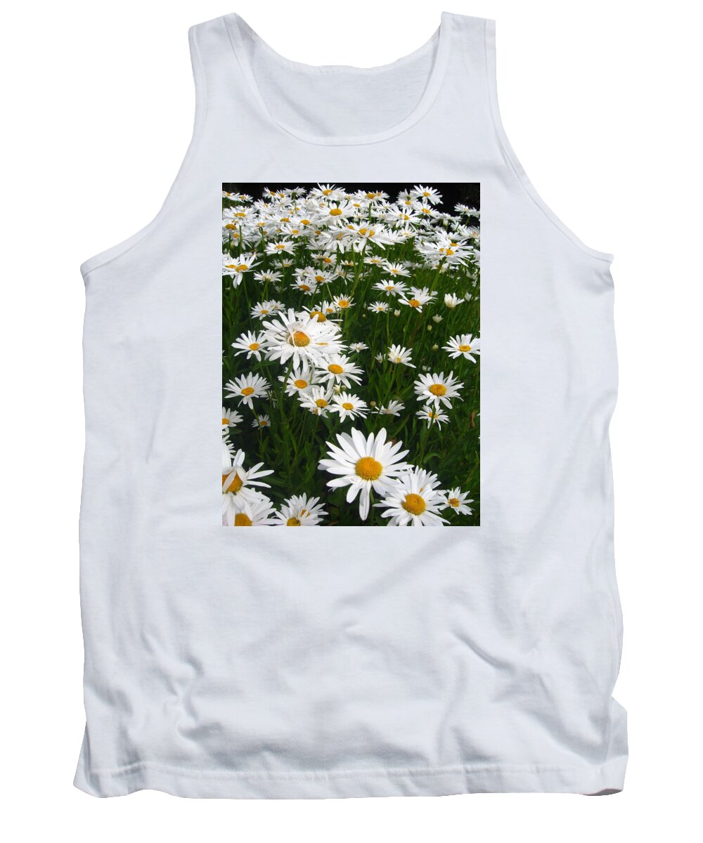 Wild Tank Top featuring the photograph Wild Daisies by Dorothy Cunningham