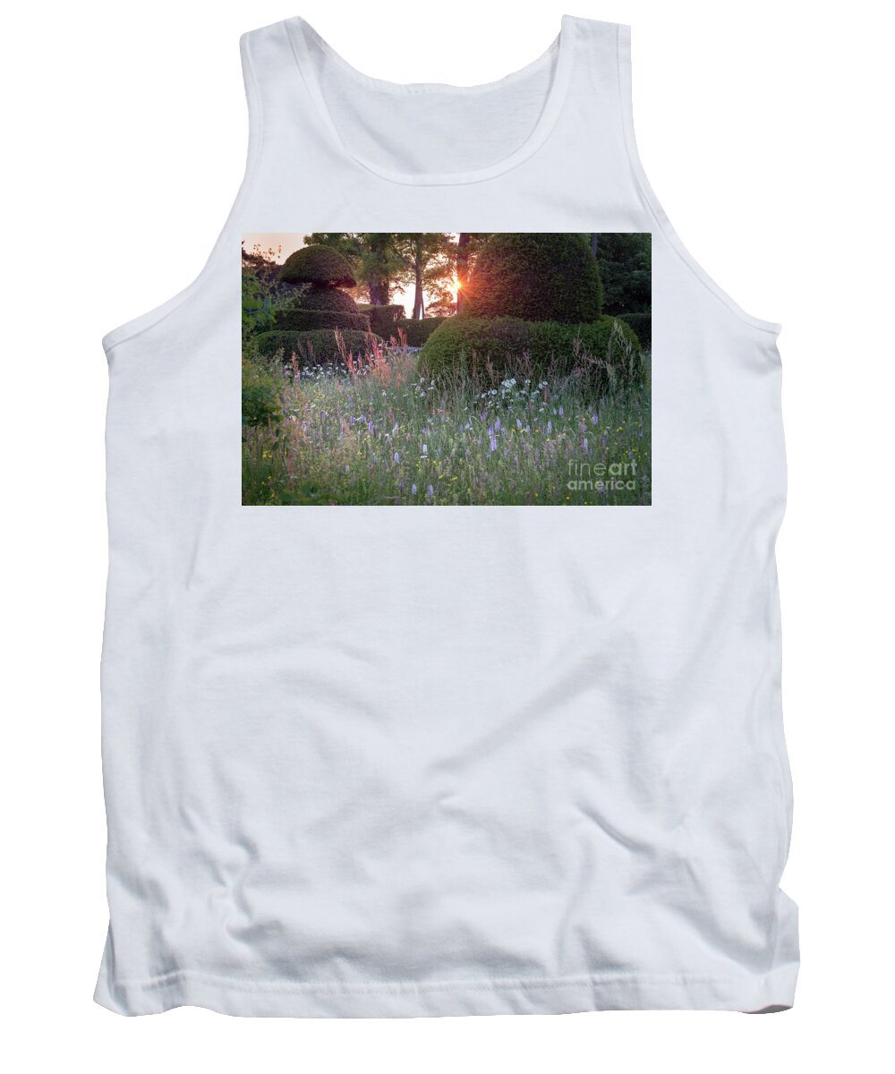 Sunset Tank Top featuring the photograph Wildflower Meadow at Sunset, Great Dixter by Perry Rodriguez