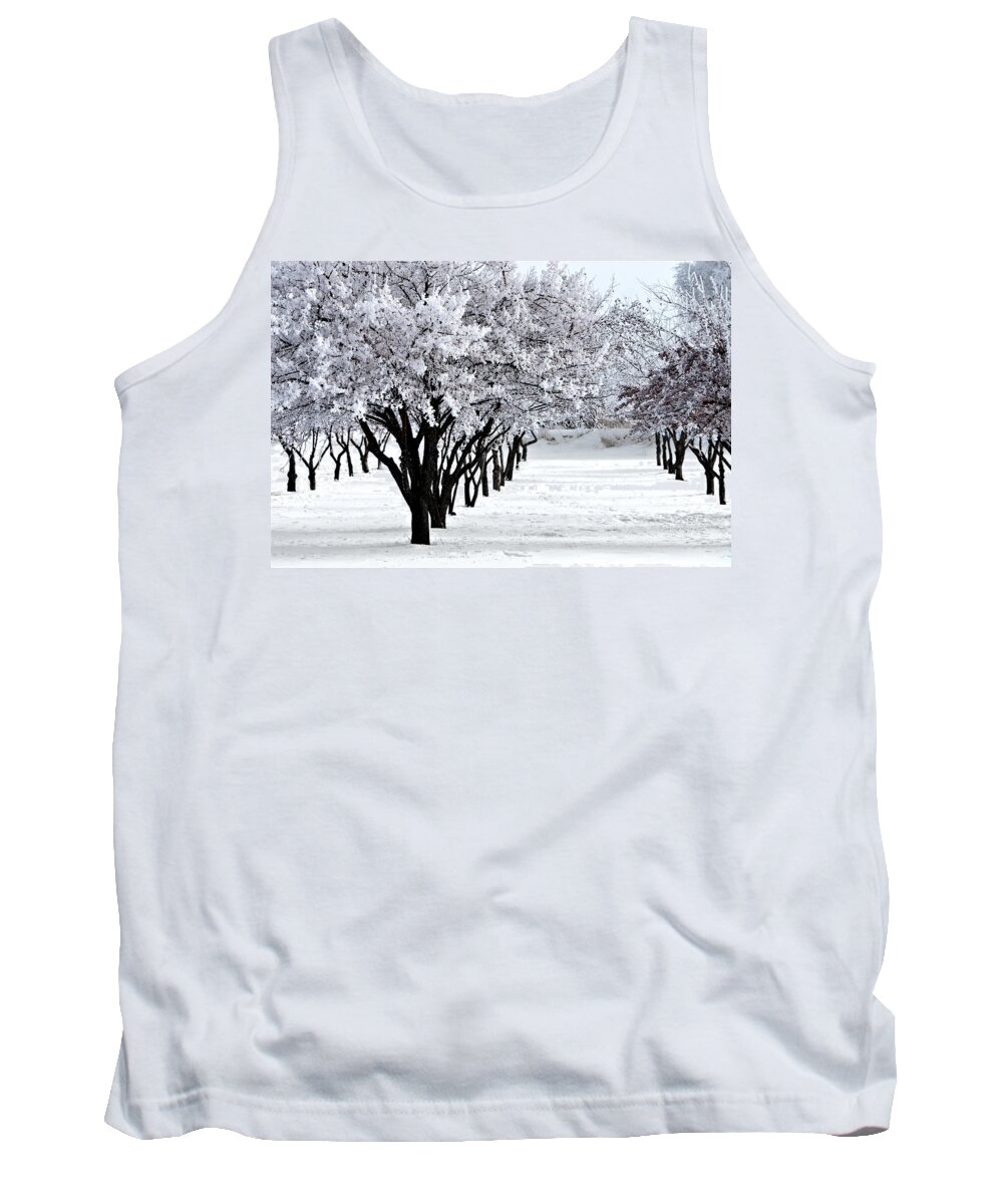 Frost Tank Top featuring the photograph Winter Orchard by David Andersen