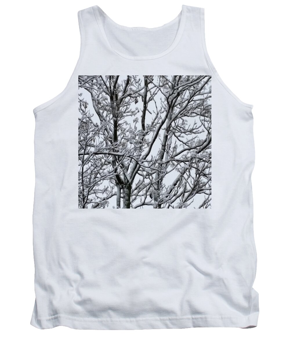 Ice Tank Top featuring the photograph Winter Sky through Snow Branches by Vic Ritchey