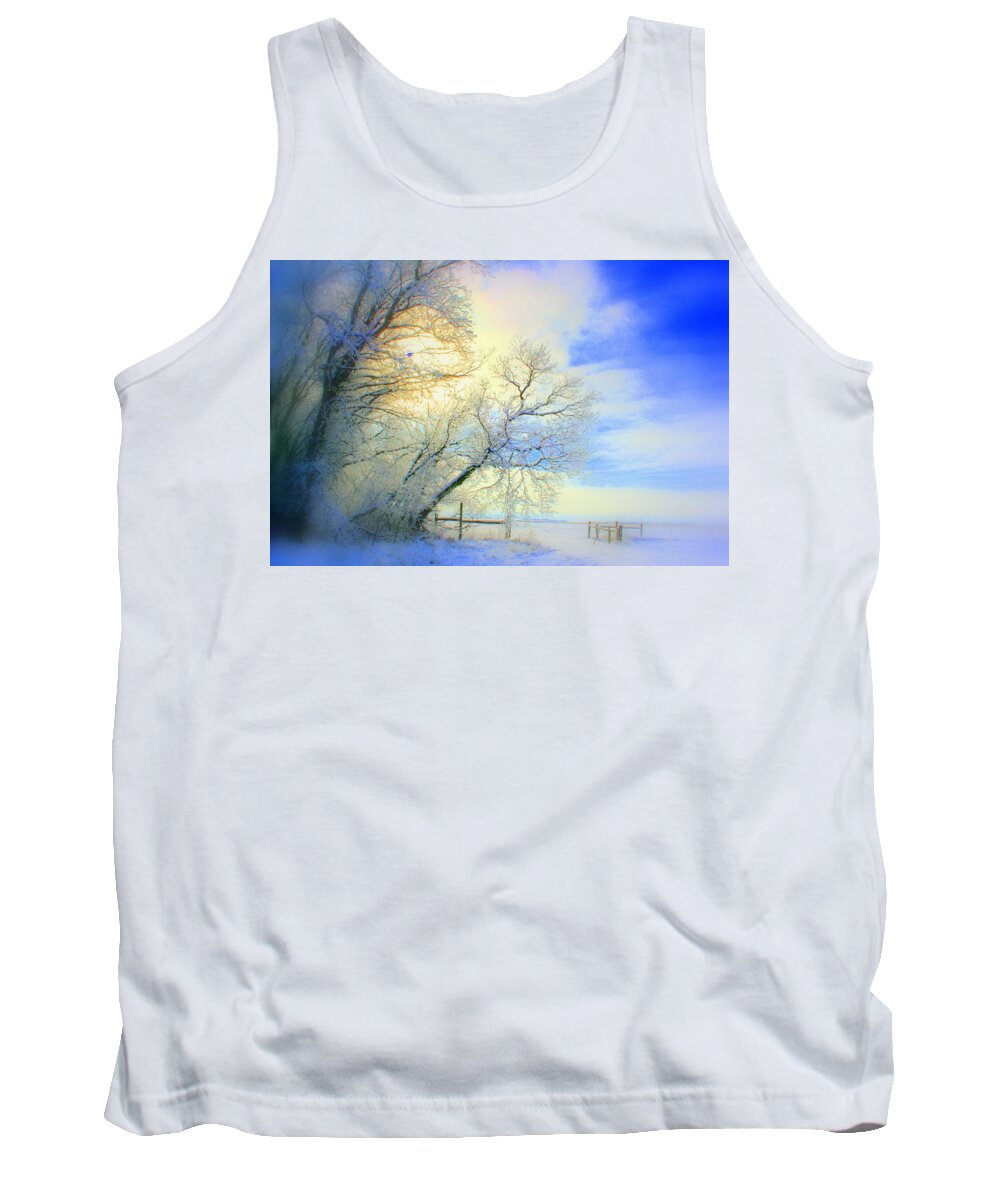 Snowy Sunday Tank Top featuring the photograph Winters Pretty Presents by Julie Lueders 