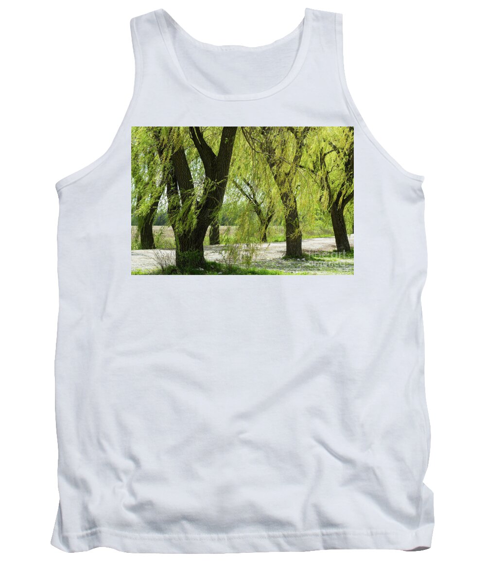 Willow Tank Top featuring the photograph Wispy Willows-1 by Steve Somerville