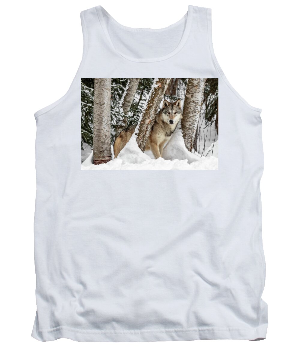 Watcher In The Woods Tank Top featuring the photograph Watcher In The Woods by Wes and Dotty Weber