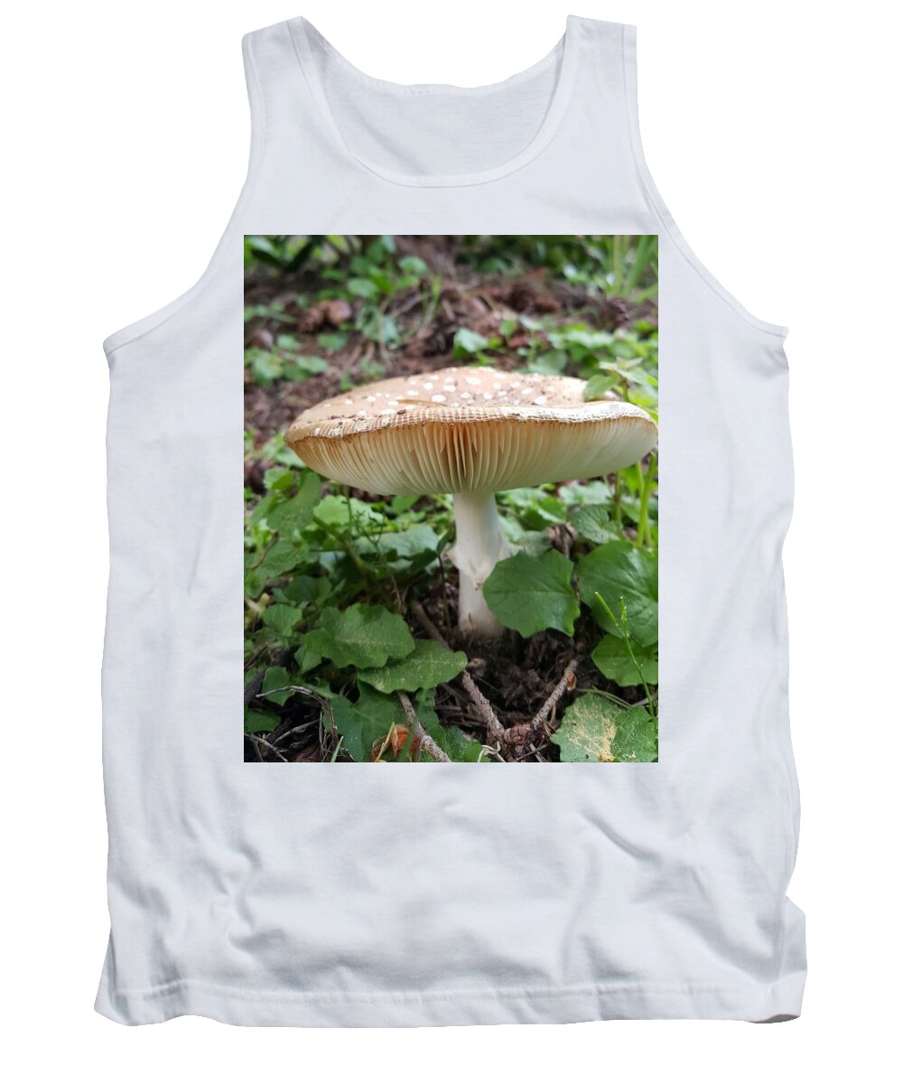 Mushroom Tank Top featuring the photograph Woodland Treasure by Lisa Debaets