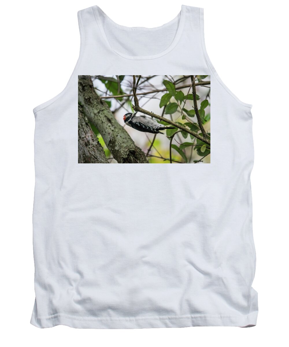 Bird Tank Top featuring the photograph Woodpecker Hanging out by David Lee