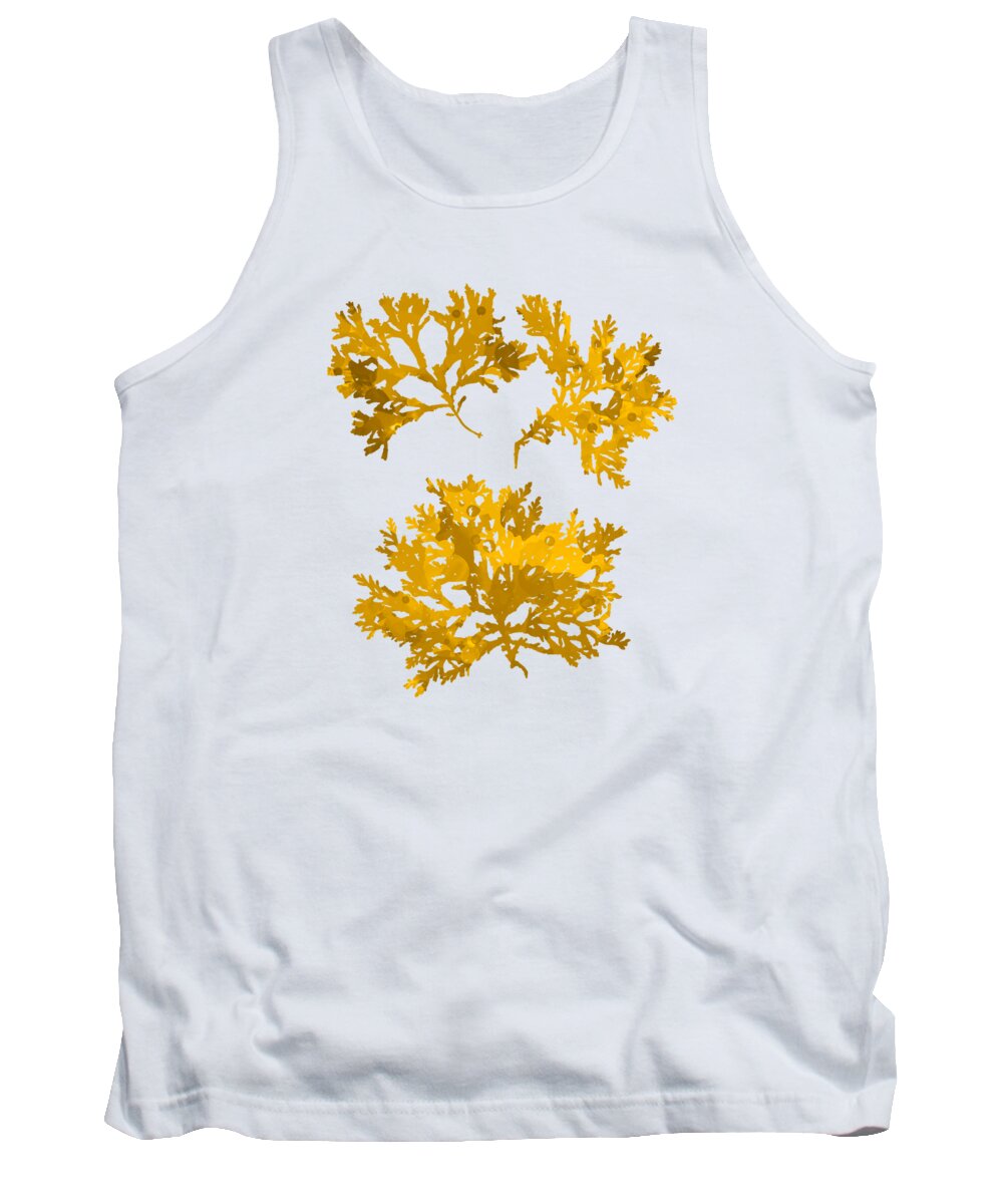 Seaweed Tank Top featuring the mixed media Gold Seaweed Art Delesseria Alata by Christina Rollo