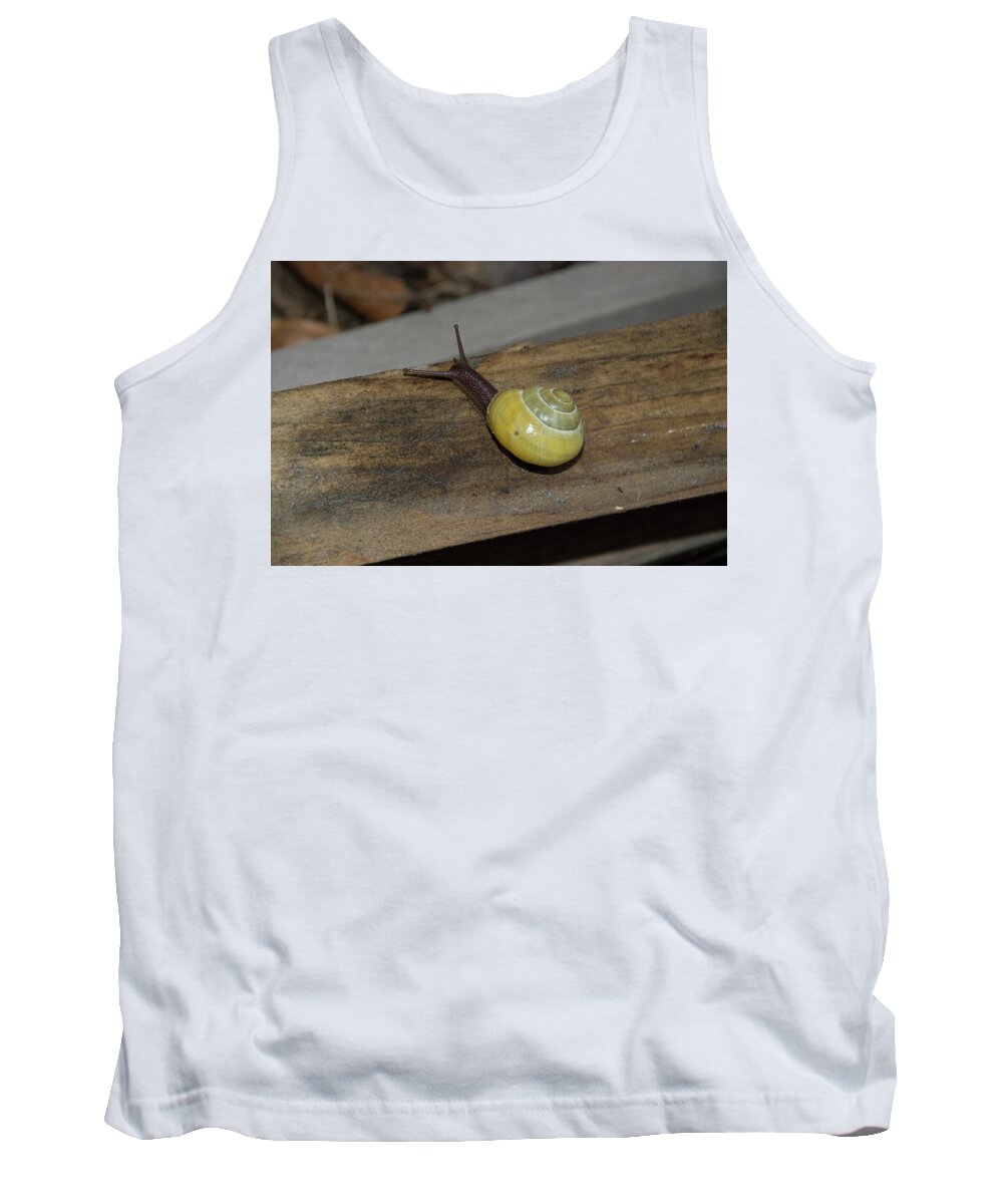Yellow- Tailed Snail Tank Top featuring the photograph Yellow Snail by Ee Photography