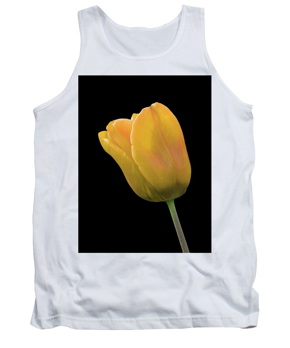 Tulip Tank Top featuring the photograph Yellow Tulip On Black by Gill Billington