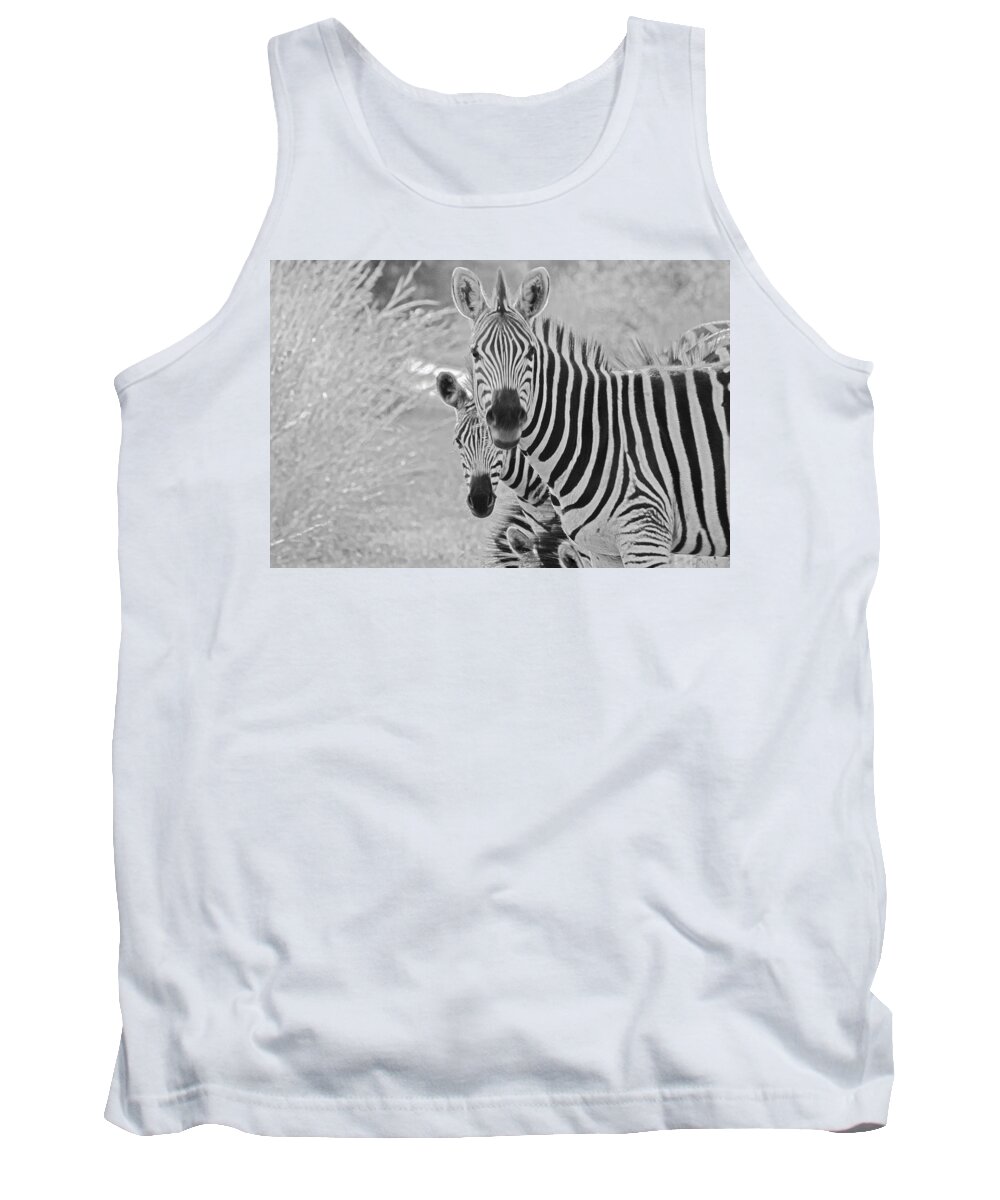 Nature Tank Top featuring the photograph Zebras #1 by Patrick Kain