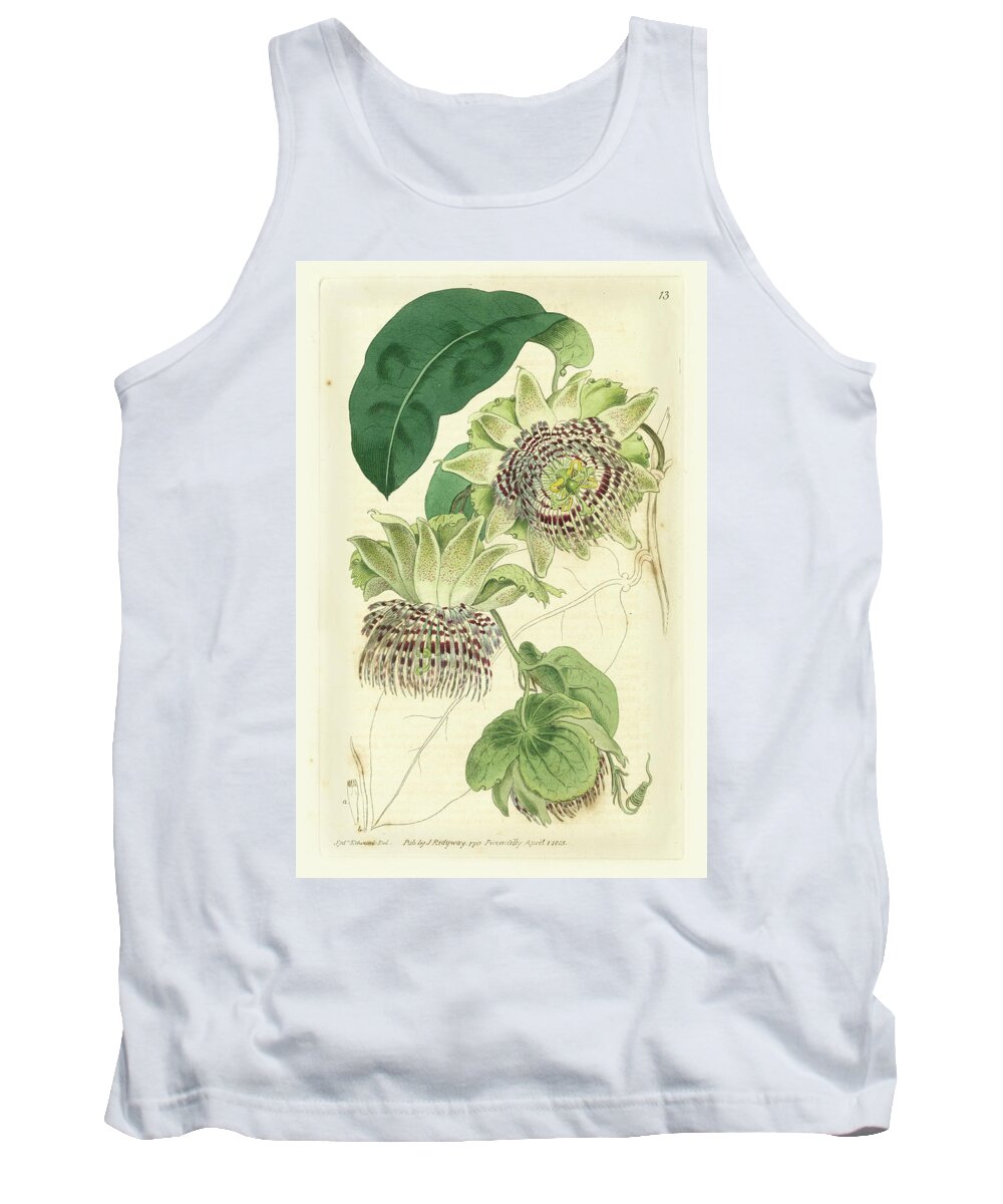 Botanical Tank Top featuring the painting Antique Passionflower II #1 by M. Hart