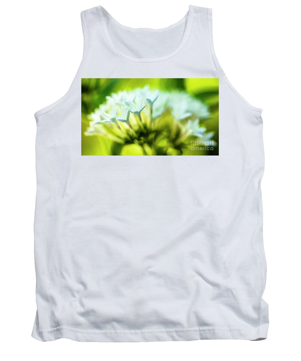 Background Tank Top featuring the photograph White Pentas Flowers by Raul Rodriguez
