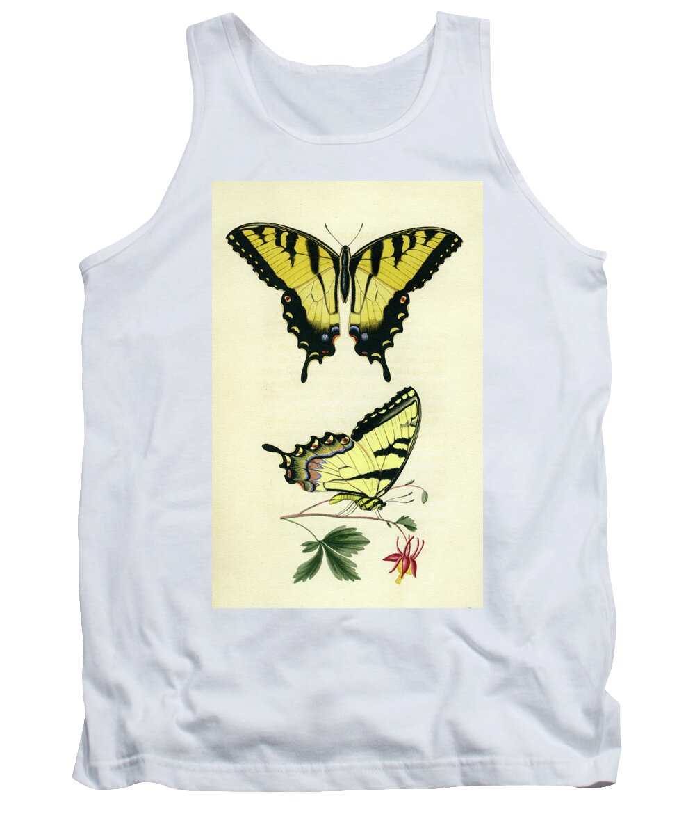 Entomology Tank Top featuring the photograph Butterflies #2 by Unknown