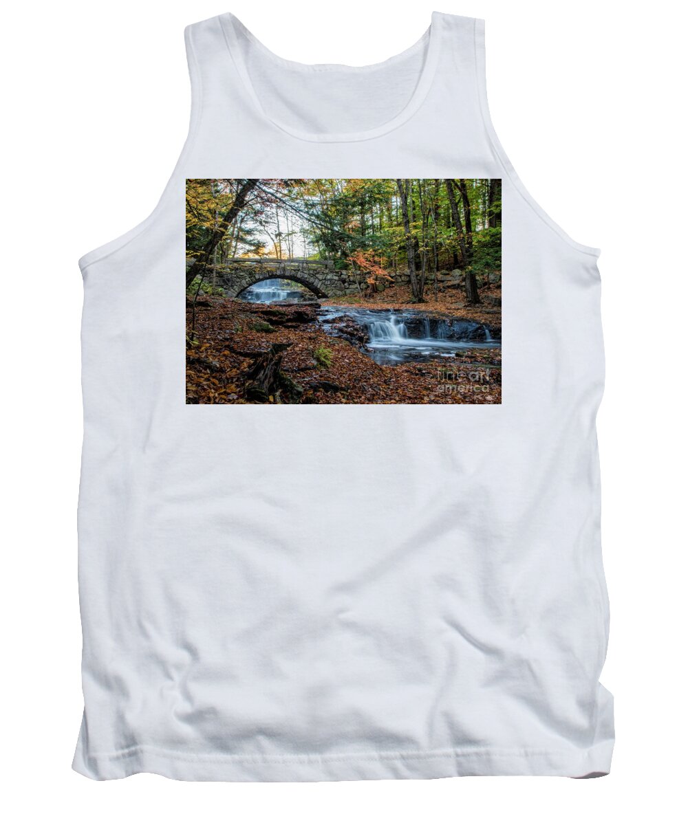 Autumn Tank Top featuring the photograph Autumn in Vaughan Woods by Jan Mulherin