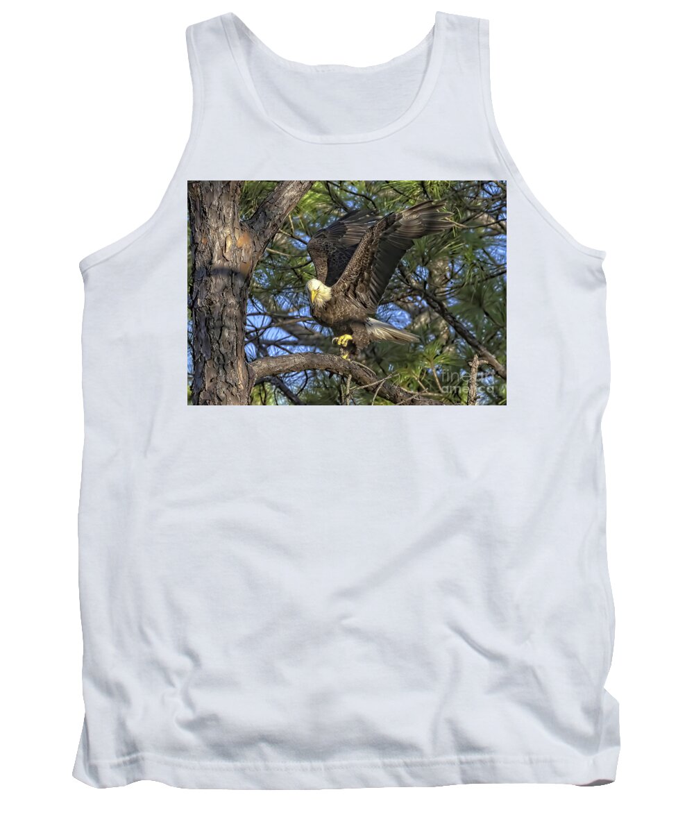 Eagles Tank Top featuring the photograph Bald Eagle by DB Hayes