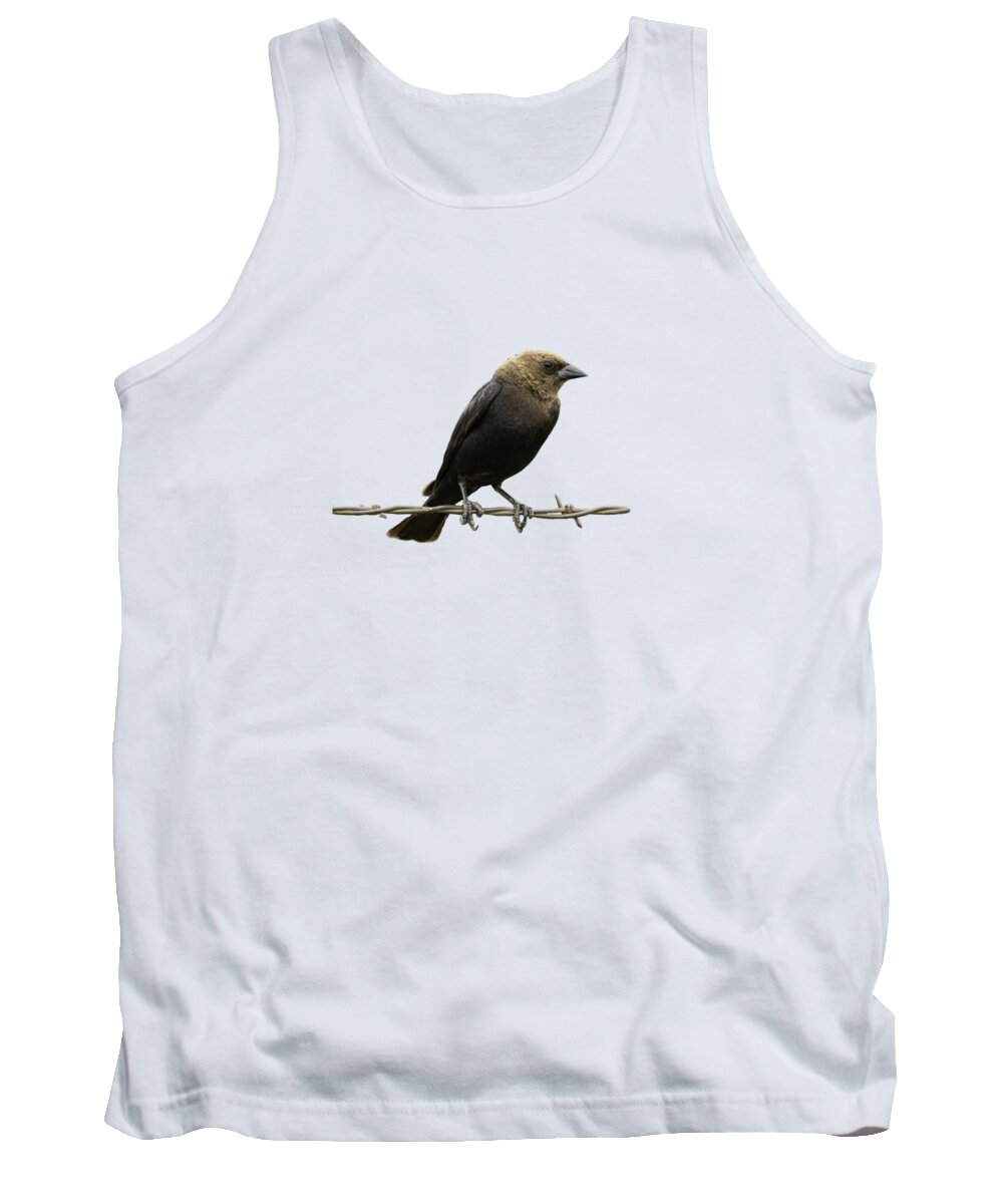 Nature Tank Top featuring the photograph Bird on Wire Brown Headed Cowbird by Jeff Phillippi