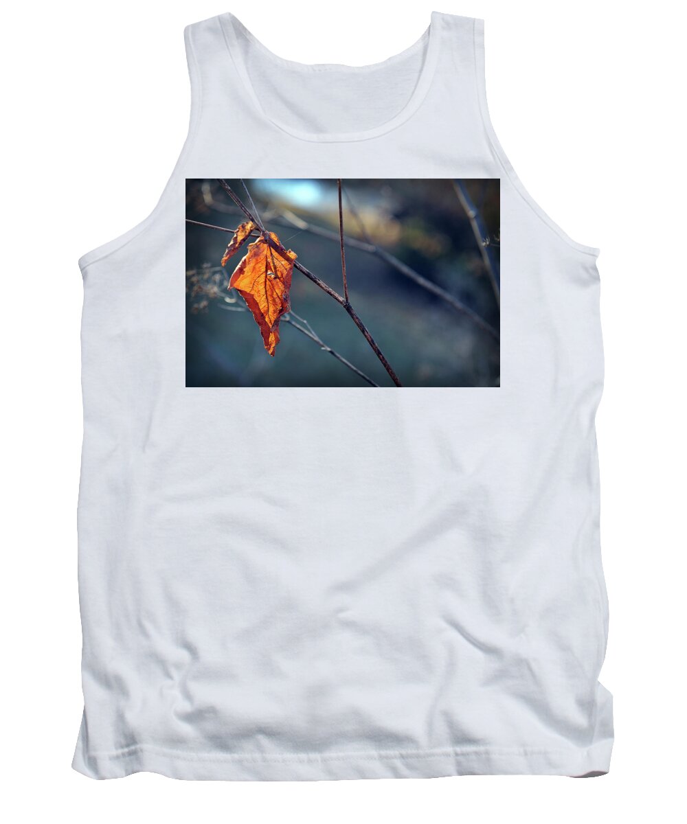 Light Tank Top featuring the photograph Captured in Light by Michelle Wermuth