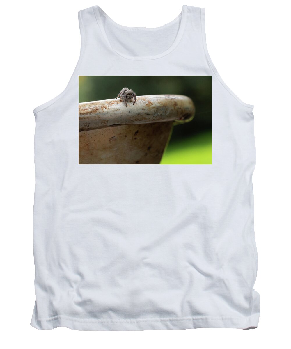 Spider Tank Top featuring the photograph Contemplating a Next Step by Brooke Bowdren