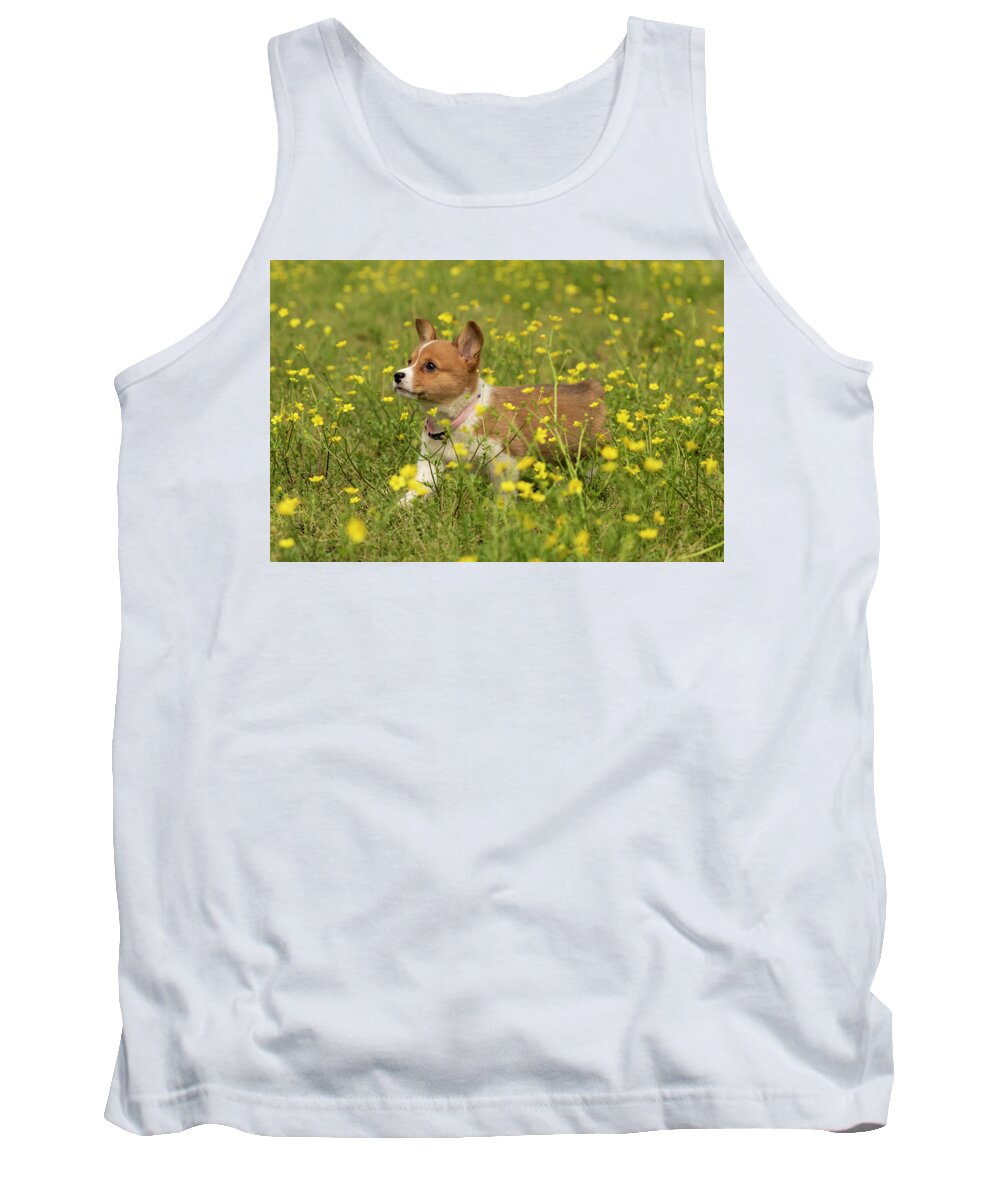 Daffodil Tank Top featuring the photograph Daffodil in Buttercups by Donna Twiford