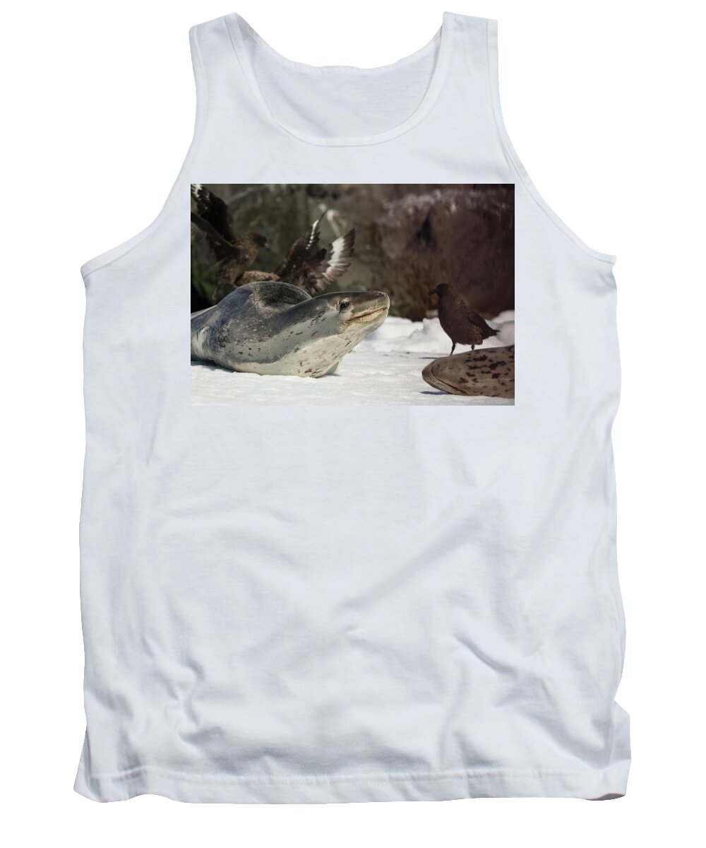 Seal Tank Top featuring the photograph Deadly Charm by Alex Lapidus