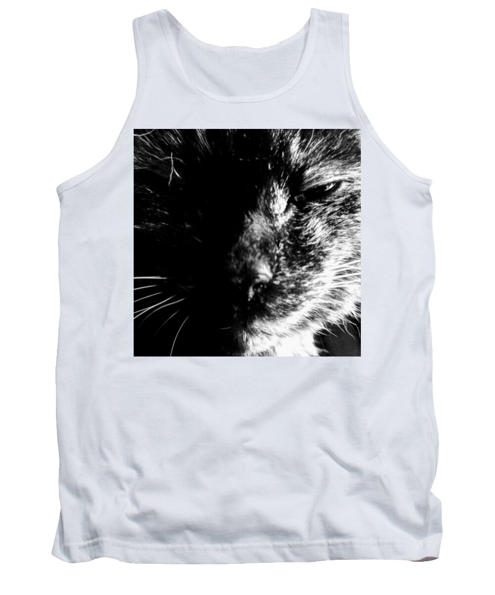 Cat Tank Top featuring the photograph Deep Thoughts by Misty Morehead