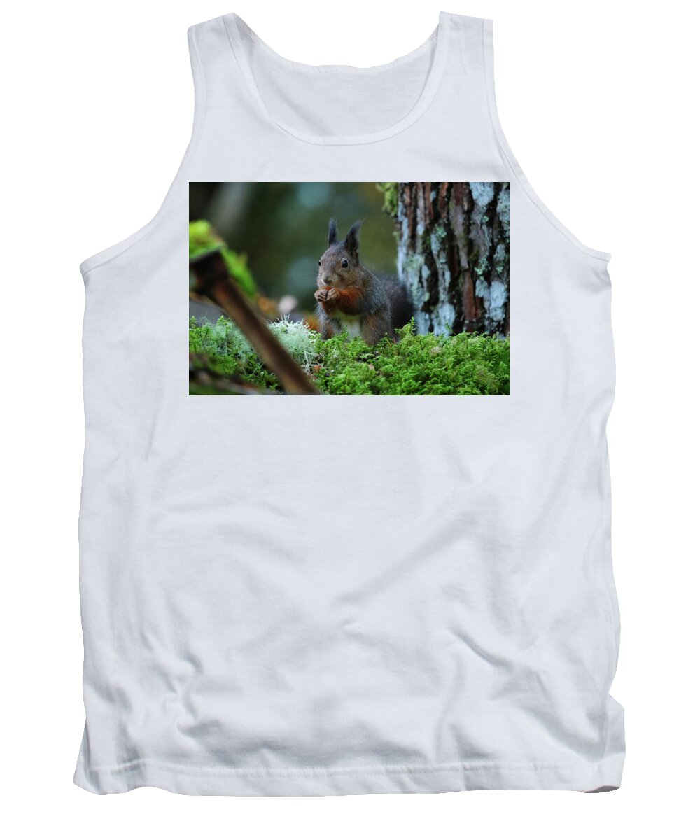 Sweden Tank Top featuring the pyrography Eating squirrel by Magnus Haellquist