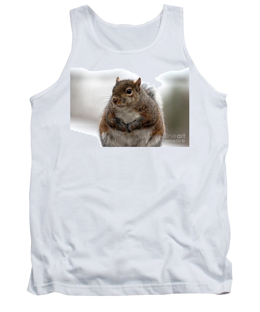 Squirrel Tank Top featuring the photograph Feeling Fluffy, Squirrel Photo by Sandra J's